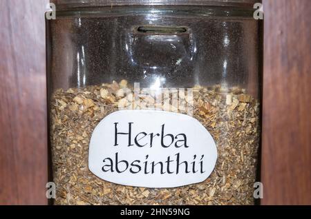 A single jar full of wormwood herb, Artemisia absinthium. Stock Photo