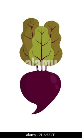 Beet or beetroot vegetable with leaves.Flat design. Stock Vector