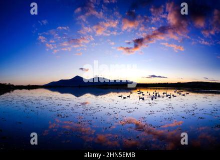 Sunset at Dundrum Bay, Mournes, County Down, Northern Ireland Stock Photo