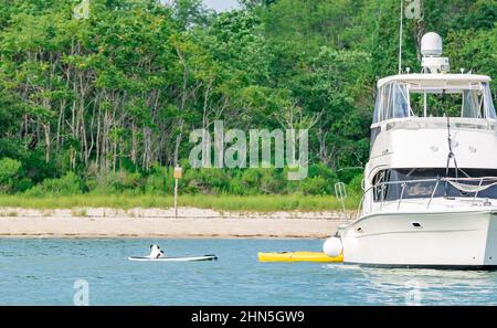 A dog resting on a surfboard that is tied to a large boat Stock Photo