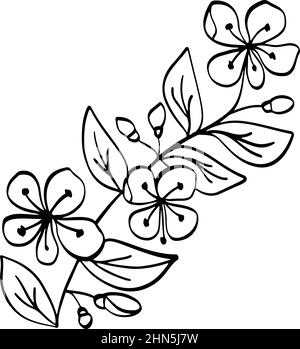 simple flower drawing black and white