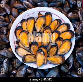 Steamed mussels sold at the poissonnerie of Trouville, Normandy, France Stock Photo