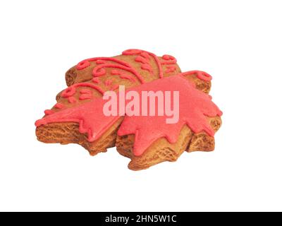 Tasty gingerbread cookie maple leaf isolated on the white Stock Photo