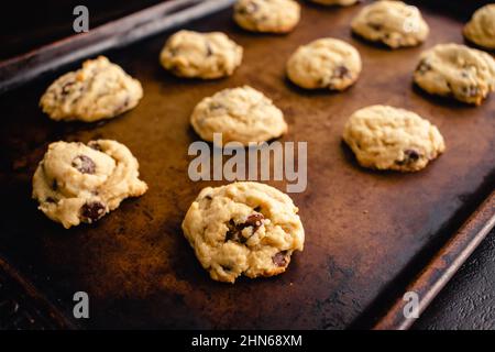 Soft-Batch Cream Cheese Chocolate Chip Cookies: Chocolate chip cookies on a sheet pan Stock Photo