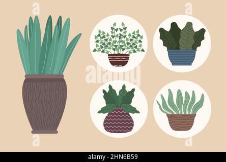 five houseplants gardening icons Stock Vector