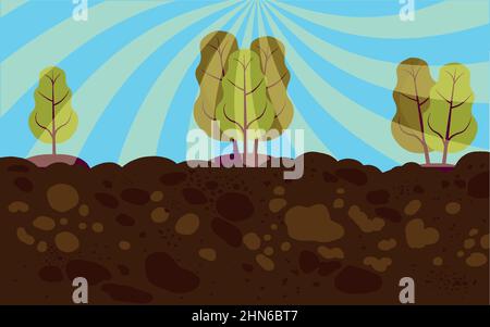 Planted vegetables, beetroot. root crops, Growing in soil, agriculture Stock Vector