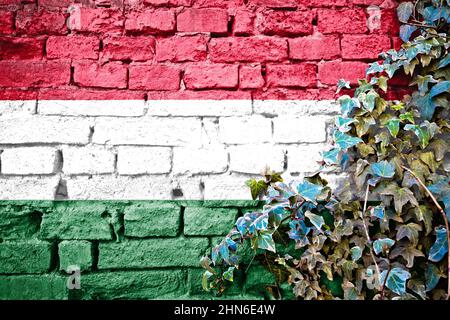 Hungarian grunge flag on brick wall with ivy plant, country symbol concept of Hungary Stock Photo