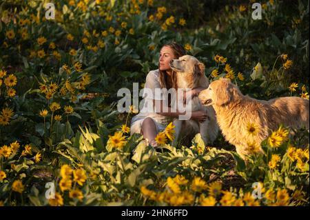 Female sitting in a field of wildflowers with two dogs Stock Photo
