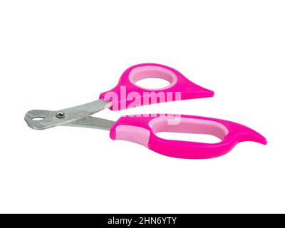 Pink nail clipper for pets grooming isolated on the white background Stock Photo