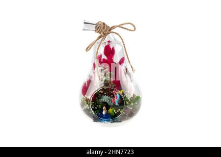 Glass terrarium. Large terrarium isolated on white background. Succulent plants in glass florarium vases, copy space. Home mini garden concept. Stock Photo