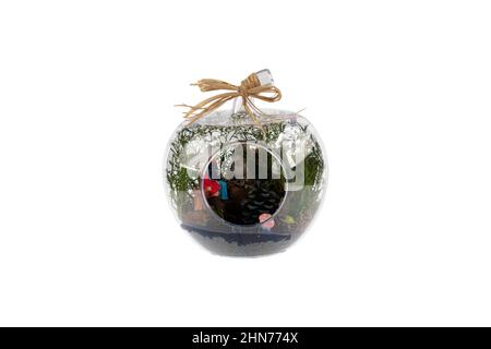 Glass terrarium. Large terrarium isolated on white background. Succulent plants in glass florarium vases, copy space. Home mini garden concept. Stock Photo