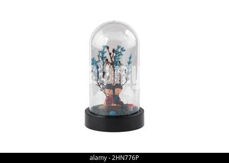Glass terrarium. Large terrarium isolated on white background. Succulent plants in glass florarium vases, copy space. Home mini garden concept. Stock Photo