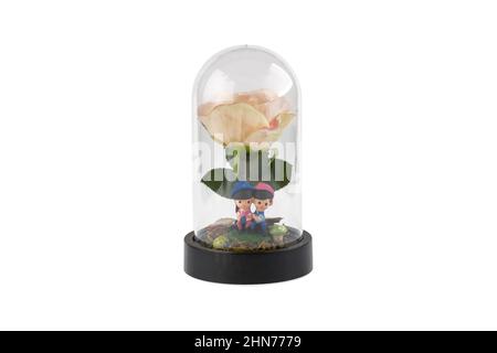 Glass terrarium. Large terrarium isolated on white background. Succulent plants in glass florarium vases, copy space. Home mini garden concept. Stock Photo