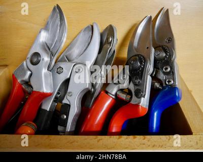 Close up of different pruning shears in a wooden tool shed. High quality photo. High quality photo Stock Photo