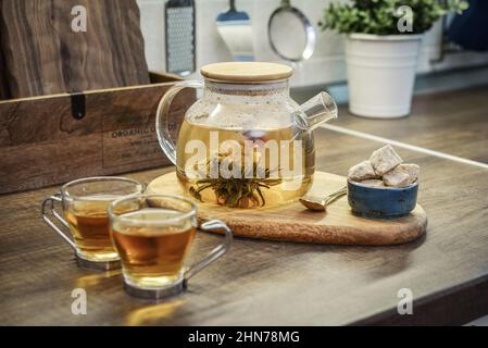 Blooming flowering tea in glass teapot and two cups on kitchen worktop closeup Stock Photo