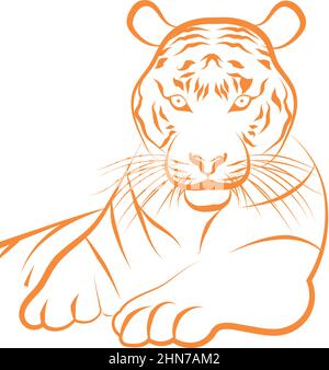 Golden outline of an asian tiger Vector Stock Vector Image & Art - Alamy