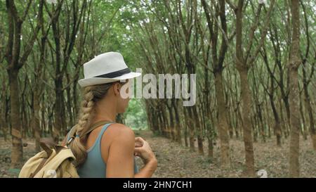 The traveler walks between trees plantation agriculture of asia for natural latex extraction milk in traditional. Young blonde woman with plait in hat walks to rubber tree. Stock Photo