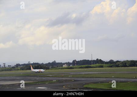 Curitiba, Parana, Brasil. 14th Feb, 2022. (INT) Passenger movement at Curitiba airport. February 14, 2022, Curitiba, Parana, Brazil: Movement at Curitiba airport, which since the end of January began to have flights from Curitiba to 10 cities in the interior of Parana and, in early April, starts to have international flights from the capital of Parana to Buenos Aires, on Monday (14) (Credit Image: © Edson De Souza/TheNEWS2 via ZUMA Press Wire) Stock Photo