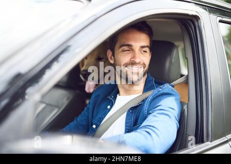 Looks like were here, boy. Cropped shot of a handsome young man taking a drive with his dog in the backseat. Stock Photo