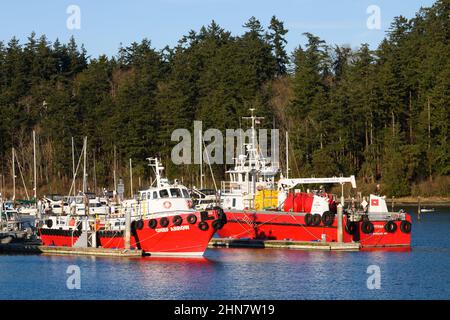 Anacortes, WA, USA - February 12, 2022; Red vessels of Arrow Launch Services at Cap Santa Marina in Anacortes.  The boats are Chief Arrow and Montega Stock Photo