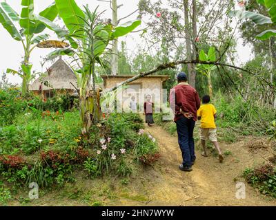 Children running to meet father and brother coming home, rural Papua New Guinea Stock Photo