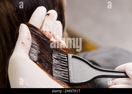 Young female hairdressed hands dyeing long hair to beautiful girl. Barber hair dye is applied with a brush Stock Photo