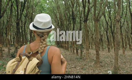 The traveler walks between trees plantation agriculture of asia for natural latex extraction milk in traditional. Young blonde woman with plait in hat walks to rubber tree. Stock Photo