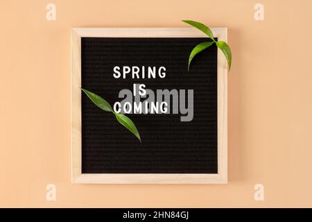 Black felt wooden framed letter board with Spring Is Coming text and green shoots on peach colored wall background. Springtime anticipation Stock Photo