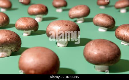 Bunch of champignon mushrooms on a green background in bright light. Close-up with edible raw mushrooms arranged on a green table. Stock Photo