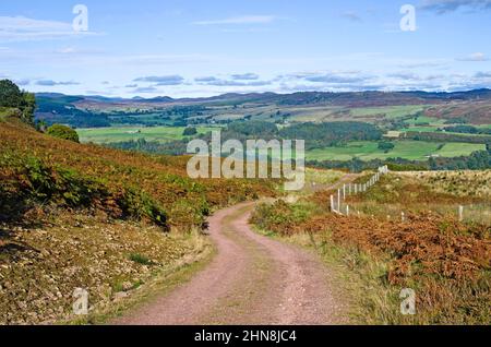 Winding moorland track on hillside above Tay valley, with high level views to hills across the valley, autumn, Tayside, Perthshire Scotland UK Stock Photo