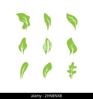 Green leaves logo.green leaf icons set vector template Stock Vector