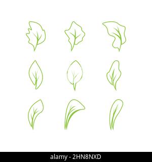 Green leaves logo.green leaf icons set vector template Stock Vector
