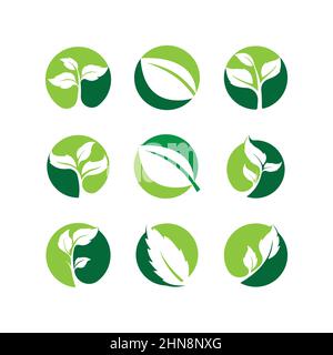 Green leaves logo.green leaf icons set vector template Stock Vector