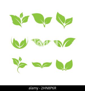 Green leaves logo.green leaf icons set vector template Stock Vector