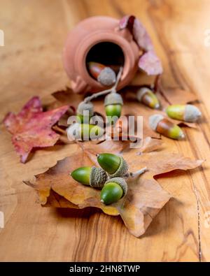 Green and brown acorns are placed on a wooden cutting board with dry leaves Stock Photo