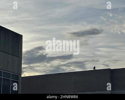 Augusta, Ga USA - 12 13 21: Augusta Ga hospital medical district downtown cityscape building facade and dark clouds Stock Photo