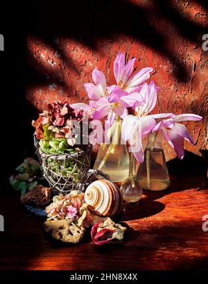 Autumn bouquet in a glass flask with Colchicum flowers, dry hydrangea flowers, sea shell and wild grape leaves in the rays of sunlight on an old rusty Stock Photo