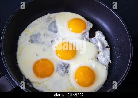 Fried eggs cooked on an induction hobb Stock Photo