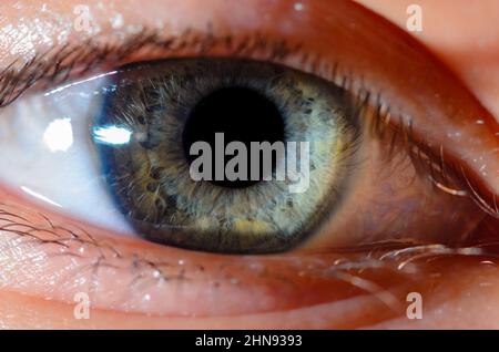 Very close macro photo of human blue eye. Human eye close-up detail with shallow depth of field. Stock Photo