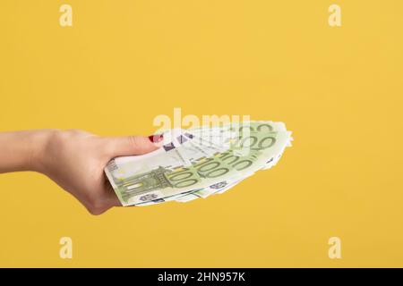 Closeup side view female hand holding and giving fan of euro banknotes, big salary, profit, lot of money and wealthy life. Indoor studio shot isolated on yellow background. Stock Photo