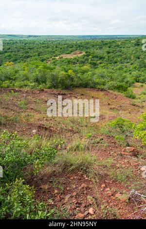 Caatinga forest landscape in Oeiras, Piaui (Northeast Brazil) Stock Photo