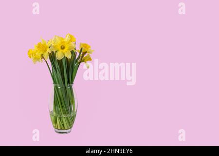 Easter flowers in vase isolated on pink background. Stock Photo