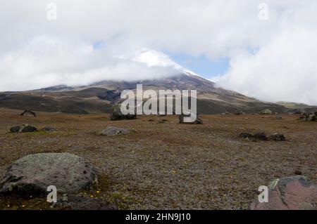 View of the Cotopaxi volcano, with volcanic rocks in the foreground. Cotopaxi National Park, Ecuador