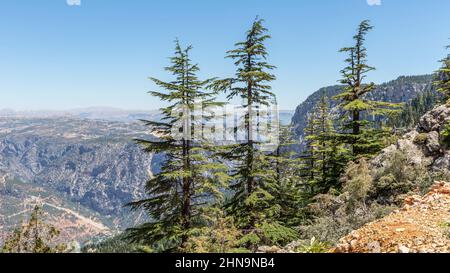 A country of stones, Taşeli Plateau. Taşeli Plateau is a karstic plateau rising between Antalya and Mersin provinces in the Mediterranean Region of ou Stock Photo