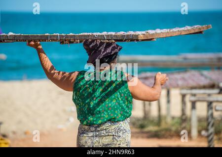 Woman takes catch of squid to dry in the sunshine at Pak Nam Pran south of Hua Hin in Prachuap Khiri Khan Province of Thailand Stock Photo