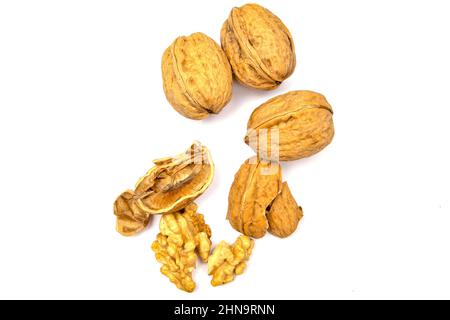 fresh cracked walnut isolated on white background Stock Photo