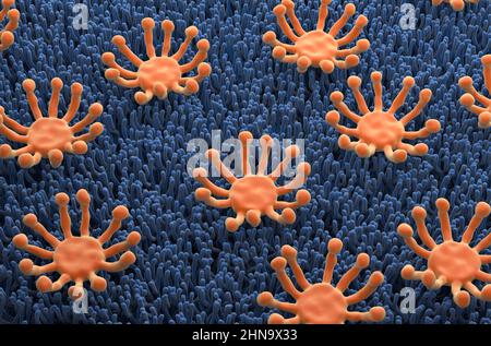 Smell (olfactory) receptor field in nasal lining - isometric view 3d illustration Stock Photo