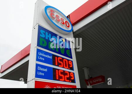 Bridport, Dorset, UK.  15th February 2022. Fuel prices are increasing again.  The sign at the ESSO petrol station on the A35 at Bridport in Dorset is showing the price for unleaded petrol at 150.9p per litre and diesel at 152.9p per litre. Picture Credit: Graham Hunt/Alamy Live News Stock Photo