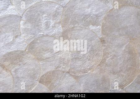 tray made of mother of pearl discs. natural background in mother of pearl. Stock Photo