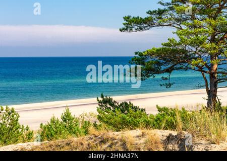 View of Baltic sea coast. Summer landscape. A lonely beach with white sand and blue sea.   Hel, Peninsula, Pomerania, Poland Stock Photo